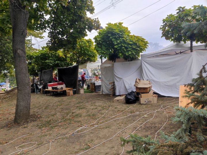 (VIDEO/FOTO) Mormoane de gunoi. 31 TONE DE DEȘEURI, adunate din PMAN după Ziua Națională a Vinului 