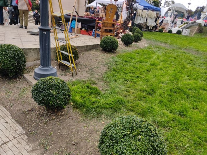 (VIDEO/FOTO) Mormoane de gunoi. 31 TONE DE DEȘEURI, adunate din PMAN după Ziua Națională a Vinului 