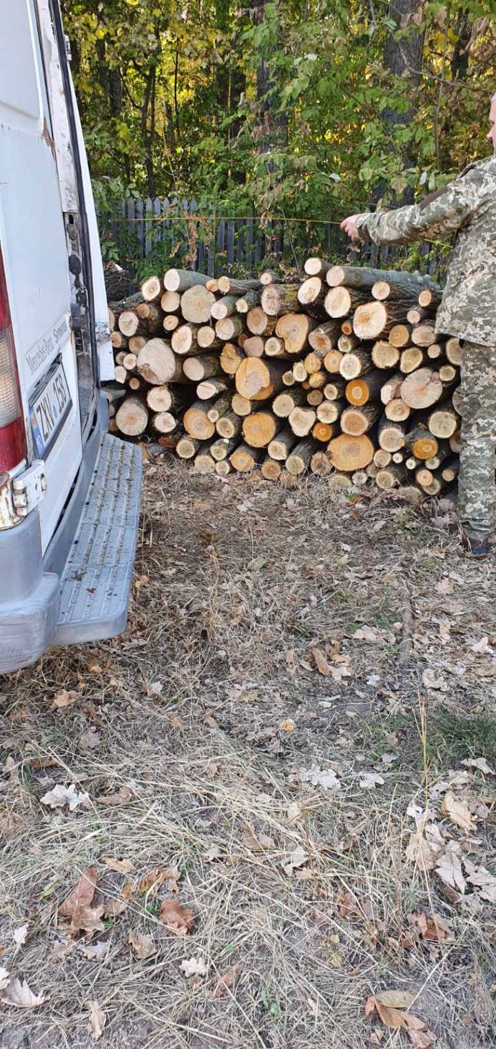 Transporta lemne fără acte de provinienţă. Cu ce amendă s-a ales moldoveanul (FOTO)  