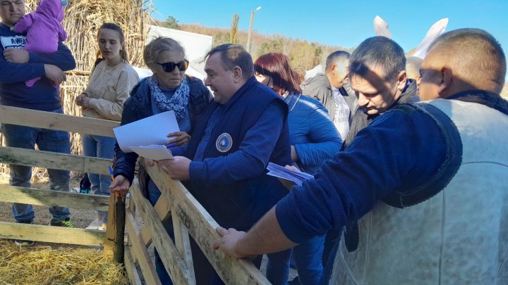 Festivalul Mioriță Laie Bucălaie: Zeci de crescători de ovine și caprine şi-au dat întâlnire la Cimișlia (FOTO)