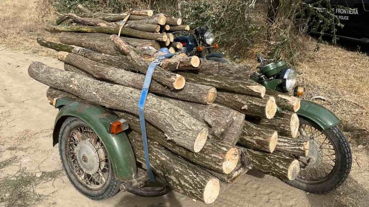 Transportau ilegal lemne de foc. Ce riscă doi cetăţeni dintr-o localitate din Cahul (FOTO)