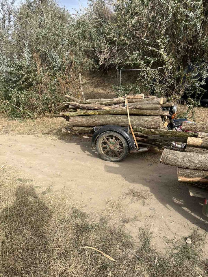 Transportau ilegal lemne de foc. Ce riscă doi cetăţeni dintr-o localitate din Cahul (FOTO)