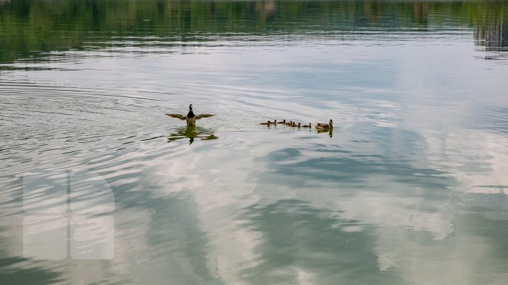 Va fi cald sau va ploua? Ce surprize ne pregăteşte vremea pentru mâine