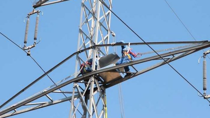 Circa 370 de cuiburi pentru păsări vor fi instalate pe stâlpii Liniei Electrice Aeriene 400 kV Vulcănești - Chișinău
