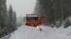 Imagini video cu ninsori și viscol. Numeroase autovehicule au rămas înzăpezite în Suceava