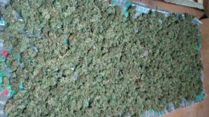 Businessul unui moldovean din care ar fi câştigat peste un milion lei, dat peste cap. Poliţia a efectuat PERCHEZIŢII acasă la suspect (VIDEO)