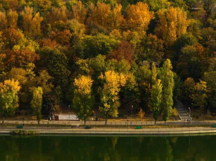 Imagini spectaculoase, surprinse de un fotograf în parcul Valea Morilor, la mijloc de noiembrie