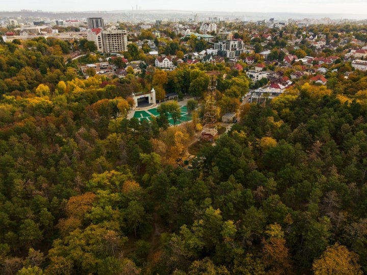 Imagini spectaculoase, surprinse de un fotograf în parcul Valea Morilor, la mijloc de noiembrie