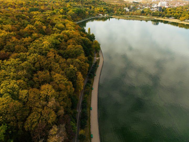 Imagini spectaculoase, surprinse de un fotograf în parcul Valea Morilor, la mijloc de noiembrie