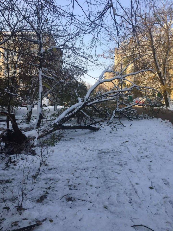 Ion Ceban despre situaţia de pe străzile din Capitală: A fost și este depusă o muncă enormă pentru a se putea circula (FOTO/VIDEO)