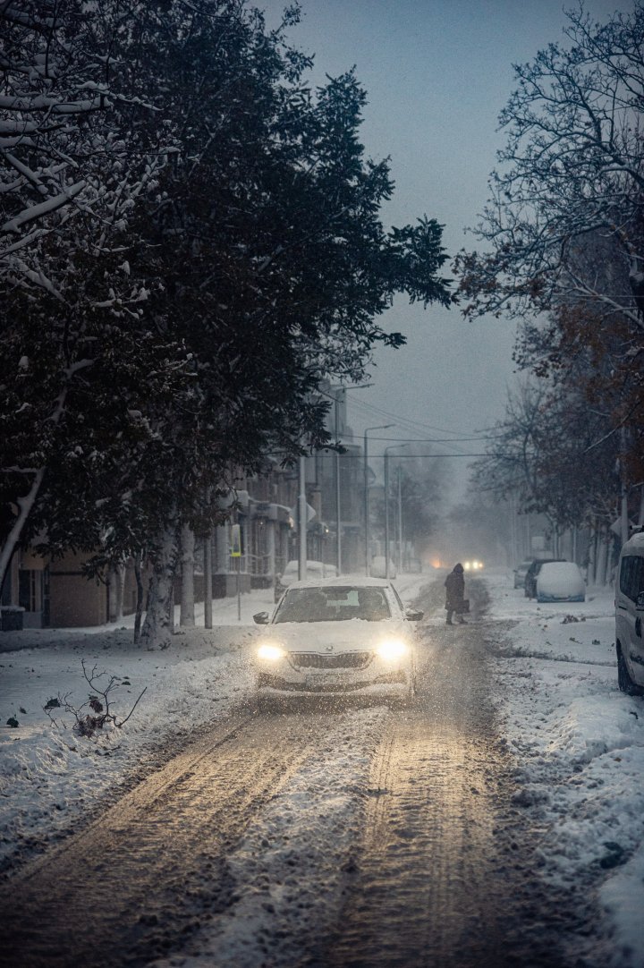 Momente de MAGIE: Fotografii unice cu prima zăpadă, văzute prin obiectivul fotografului Alexandru Vengher