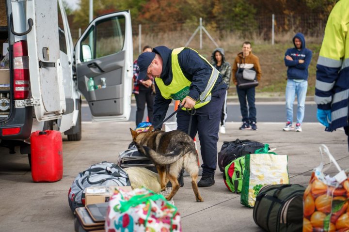 FOTO. Bravo Lord, Fox, și Crok! Câini ai Poliției de Frontieră, care își exercită activitatea la Ungheni, Tudora și Basarabeasca, au trecut cu succes examenul de dresaj în Cehia