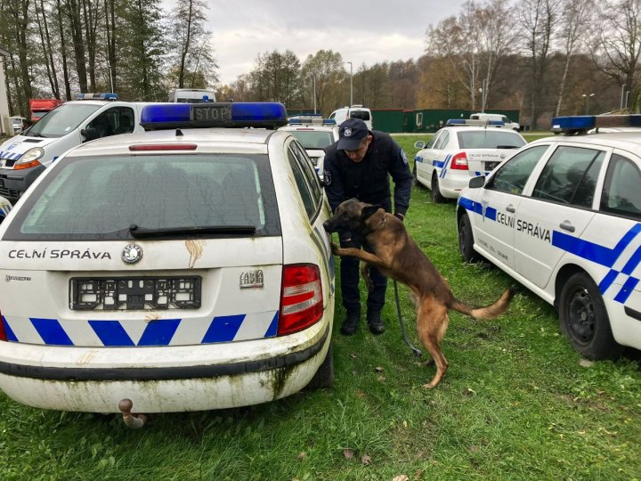 FOTO. Bravo Lord, Fox, și Crok! Câini ai Poliției de Frontieră, care își exercită activitatea la Ungheni, Tudora și Basarabeasca, au trecut cu succes examenul de dresaj în Cehia