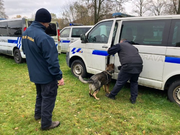 FOTO. Bravo Lord, Fox, și Crok! Câini ai Poliției de Frontieră, care își exercită activitatea la Ungheni, Tudora și Basarabeasca, au trecut cu succes examenul de dresaj în Cehia