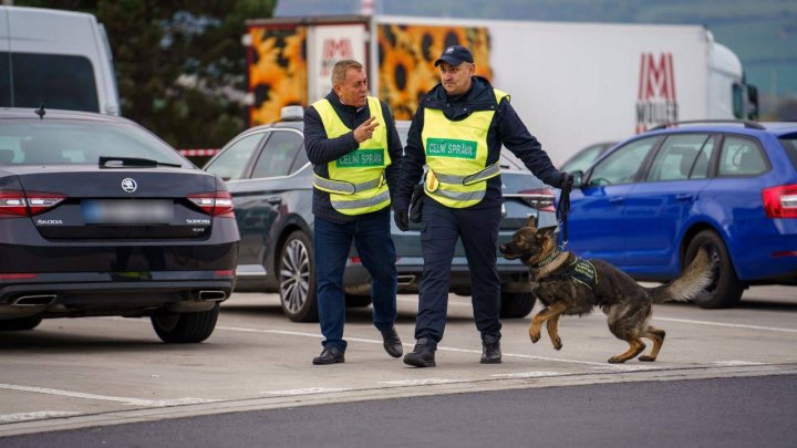 FOTO. Bravo Lord, Fox, și Crok! Câini ai Poliției de Frontieră, care își exercită activitatea la Ungheni, Tudora și Basarabeasca, au trecut cu succes examenul de dresaj în Cehia