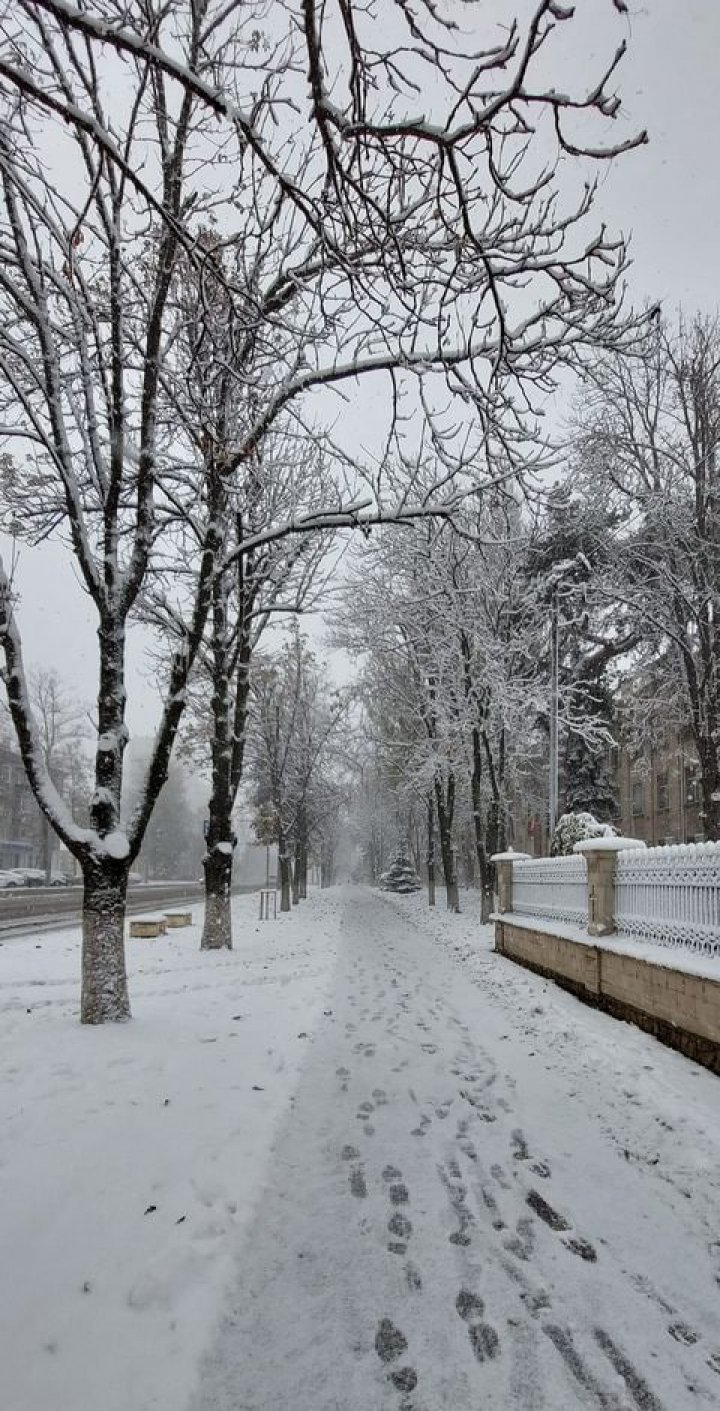 POVESTE de IARNĂ! Moldova a îmbrăcat straie albe (GALERIE FOTO)