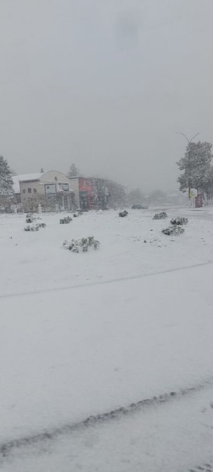 POVESTE de IARNĂ! Moldova a îmbrăcat straie albe (GALERIE FOTO)