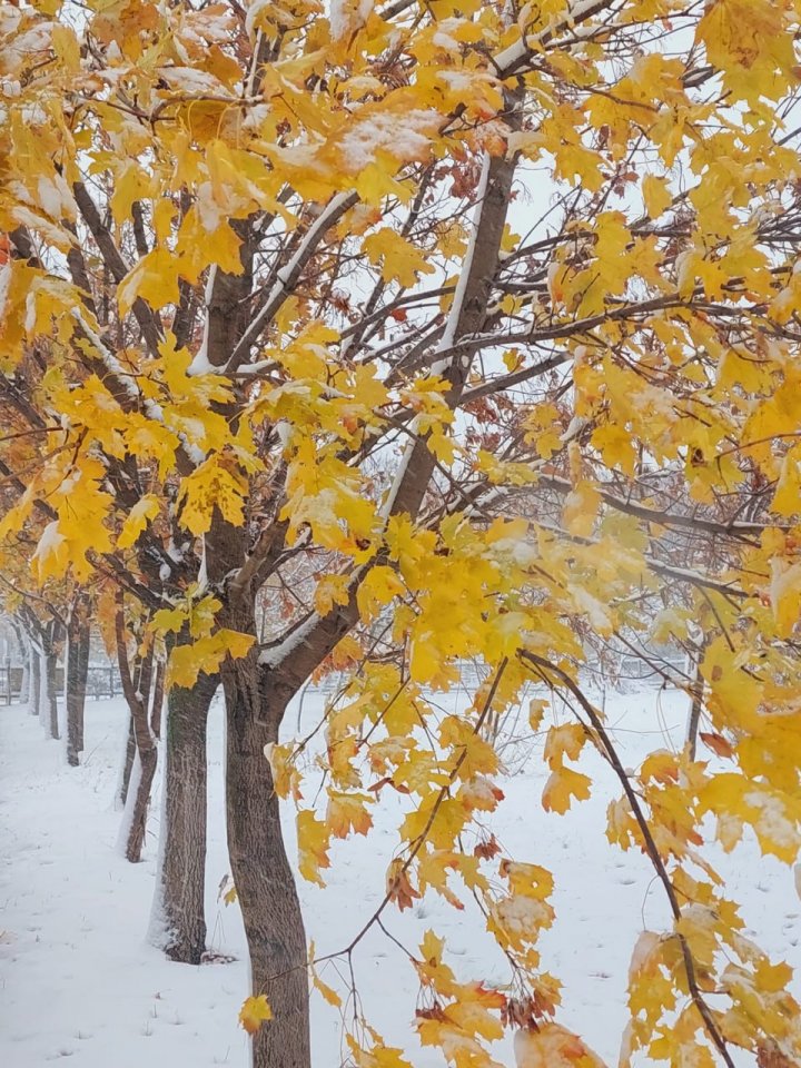 POVESTE de IARNĂ! Moldova a îmbrăcat straie albe (GALERIE FOTO)