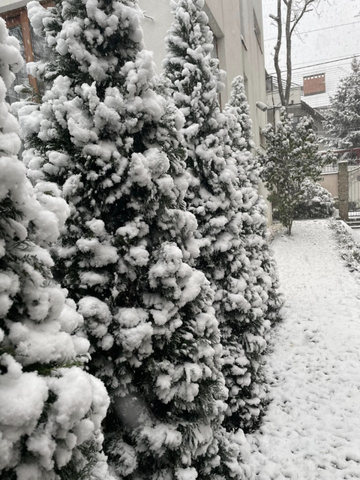 POVESTE de IARNĂ! Moldova a îmbrăcat straie albe (GALERIE FOTO)