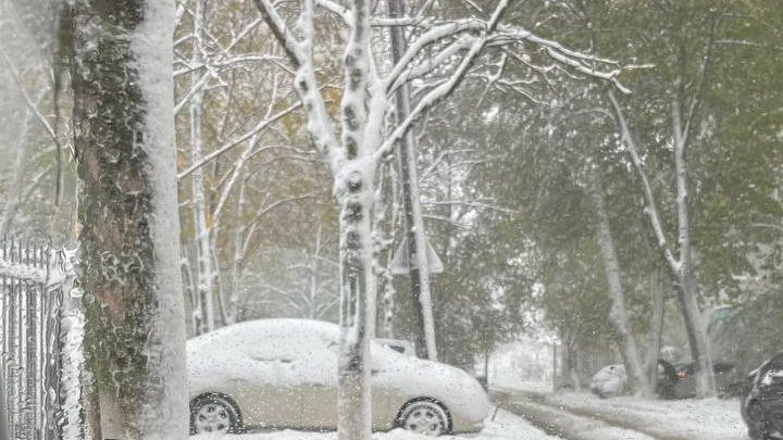 POVESTE de IARNĂ! Moldova a îmbrăcat straie albe (GALERIE FOTO)