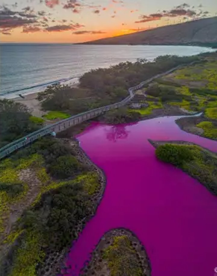 Apa unui lac din Hawaii a devenit roz. Care este explicația (FOTO/VIDEO)