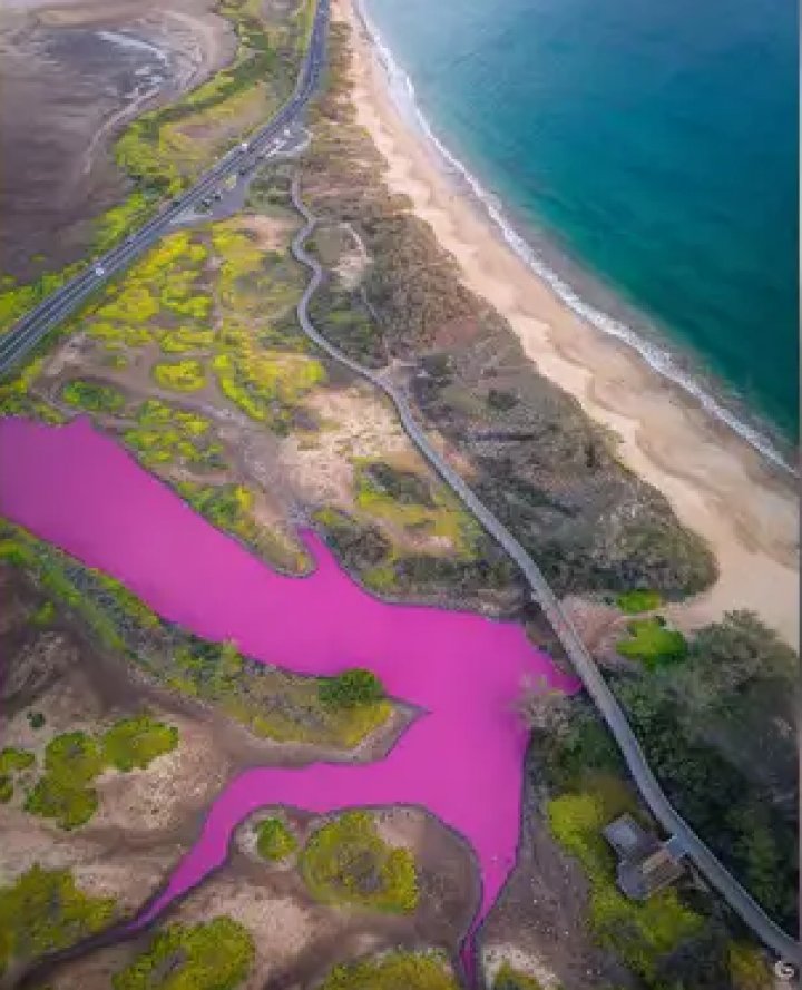 Apa unui lac din Hawaii a devenit roz. Care este explicația (FOTO/VIDEO)