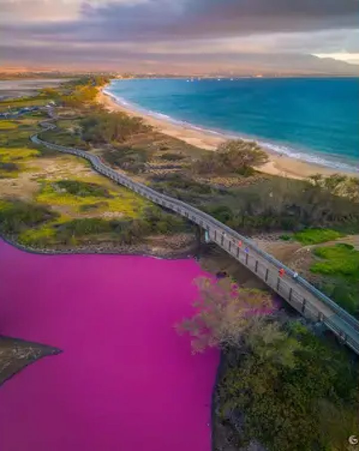 Apa unui lac din Hawaii a devenit roz. Care este explicația (FOTO/VIDEO)