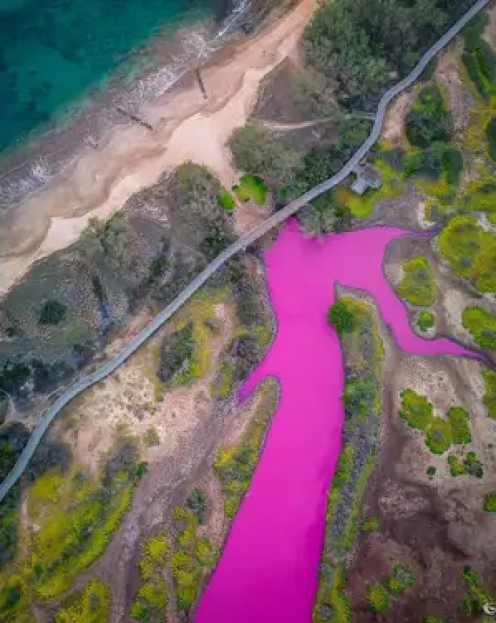 Apa unui lac din Hawaii a devenit roz. Care este explicația (FOTO/VIDEO)