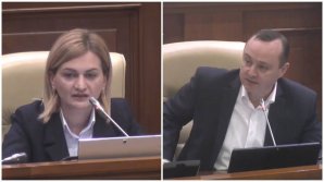 SCÂNTEI în Parlament. Doina Gherman şi Vlad Bătrâncea şi-au aruncat replici. Care a fost MOTIVUL (VIDEO)