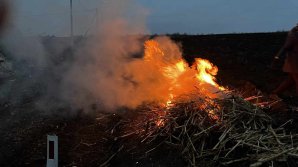 Trei cazuri de ardere a deşeurilor periculoase, DESCOPERITE şi OPRITE de inspectorii de mediu (FOTO)