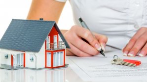 Peste 50 de milioane de lei, ÎNCASATE la buget din contractele de închiriere a imobilelor