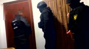 (VIDEO) Grupare infracțională implicată în trafic INTERNAŢIONAL de droguri, deconspirată. Ce au găsit oamenii legii