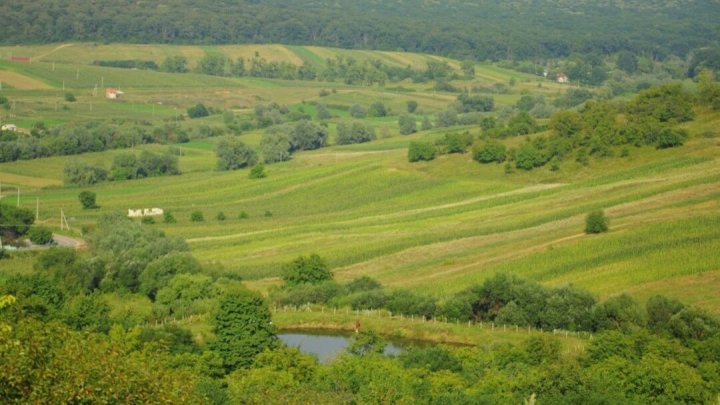 Patru terenuri vor fi transmise în proprietatea comunei Chetrosu din raionul Anenii. Care ar fi MOTIVUL