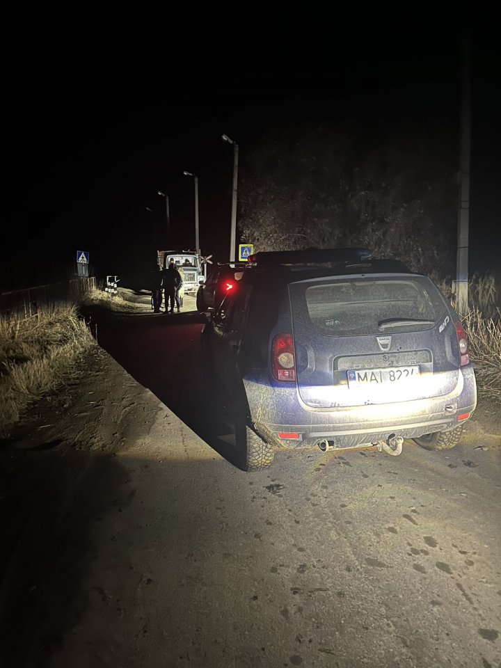 Tăieri ilegale de lemne în Cahul. Un funcţionar, prins în flagrant (FOTO)