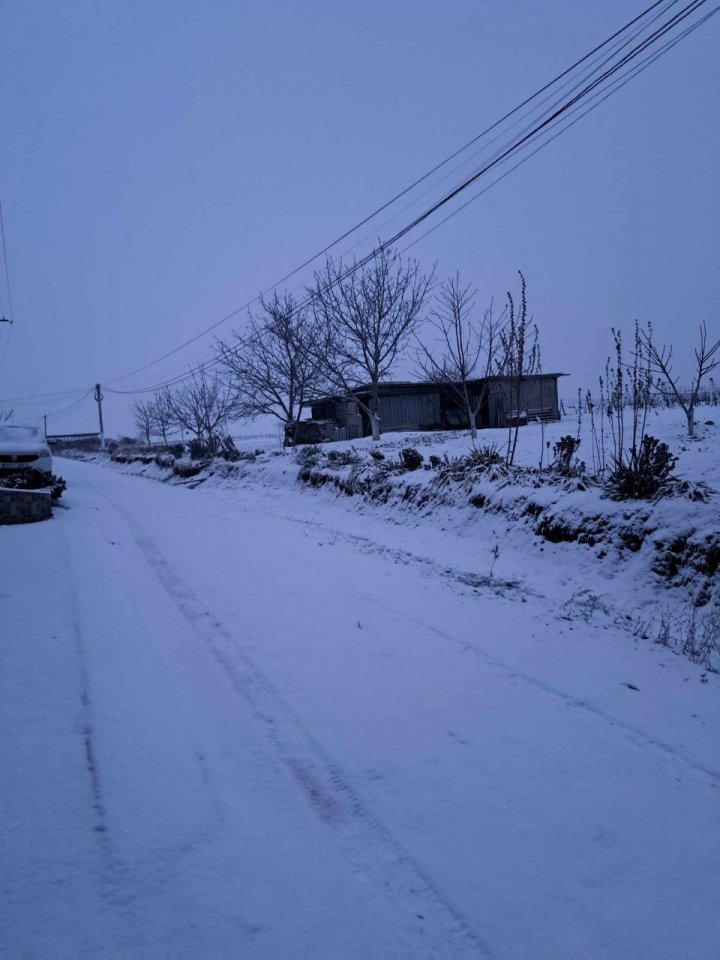 NINGE în sudul Moldovei. La Căuşeni e atmosferă feerică de iarnă. Totul s-a tansformat într-un alb imaculat (VIDEO/FOTO)