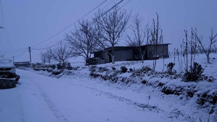 NINGE în sudul Moldovei. La Căuşeni e atmosferă feerică de iarnă. Totul s-a tansformat într-un alb imaculat (VIDEO/FOTO)