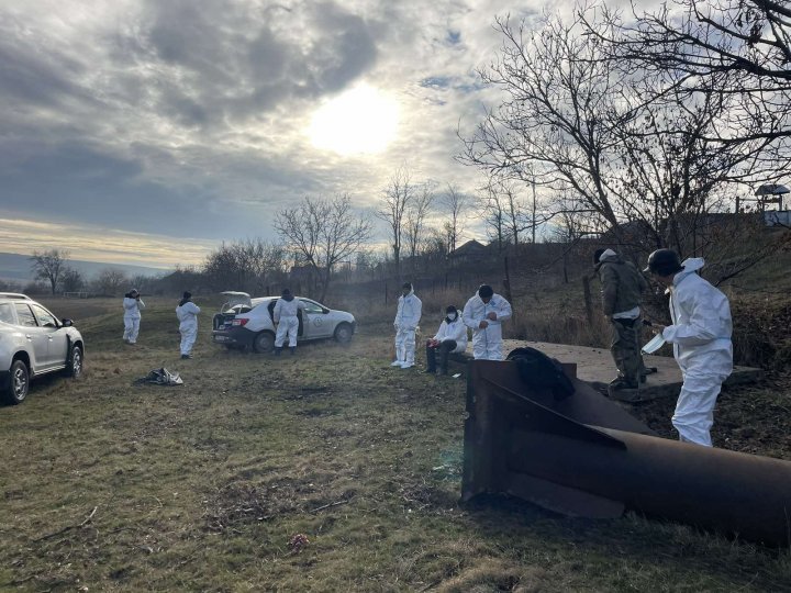 ALARMANT! 65 de cadavre de lebede, găsite pe malurile râului Răut. Inspectorii de mediu de la Floreşti: Gripa aviară ar putea fi cauza acestei tragedii (FOTO/VIDEO)