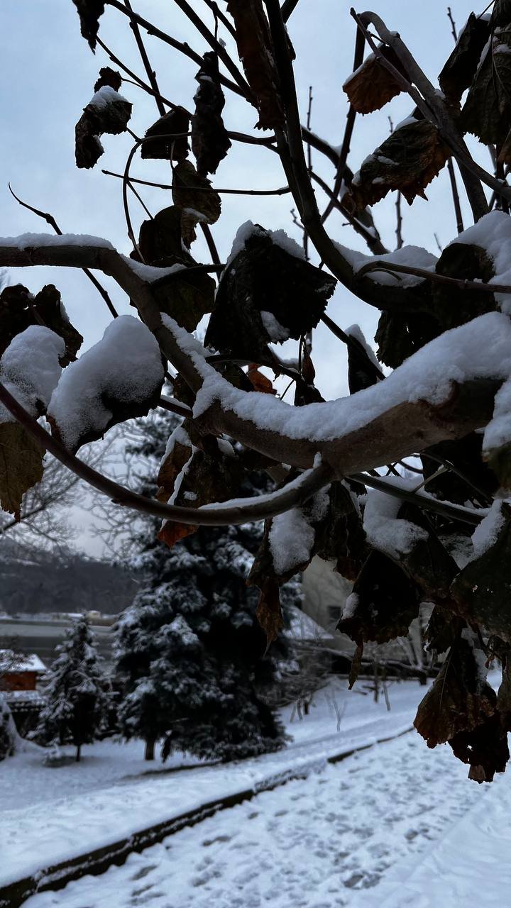 Parcul Valea Morilor, îmbrăcat în mantia albă a zăpezii. Pictură iernatică după ninsoare (FOTO/VIDEO)