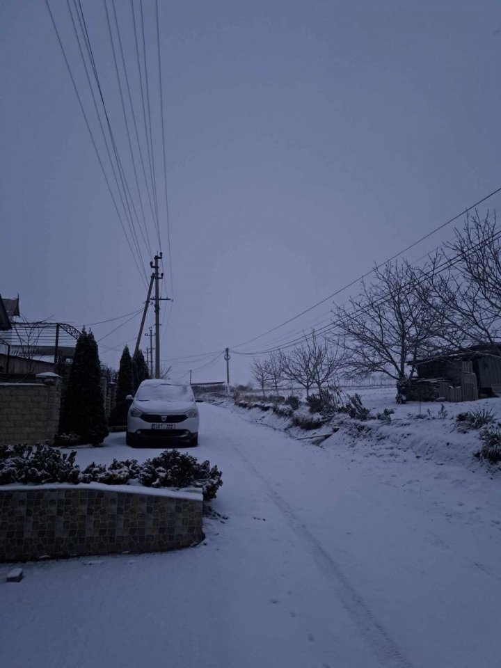 NINGE în sudul Moldovei. La Căuşeni e atmosferă feerică de iarnă. Totul s-a tansformat într-un alb imaculat (VIDEO/FOTO)