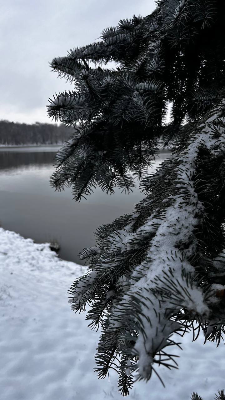 Parcul Valea Morilor, îmbrăcat în mantia albă a zăpezii. Pictură iernatică după ninsoare (FOTO/VIDEO)