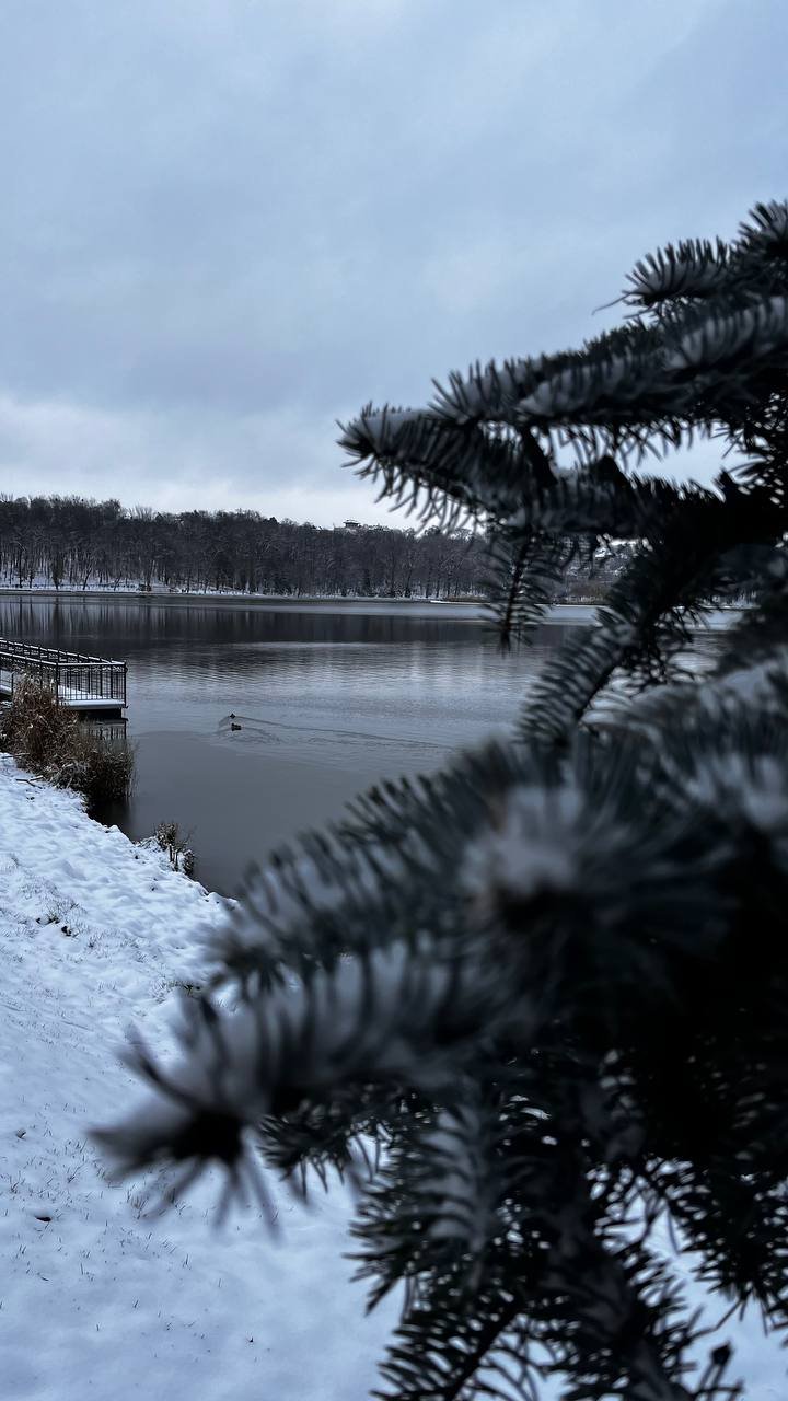 Parcul Valea Morilor, îmbrăcat în mantia albă a zăpezii. Pictură iernatică după ninsoare (FOTO/VIDEO)