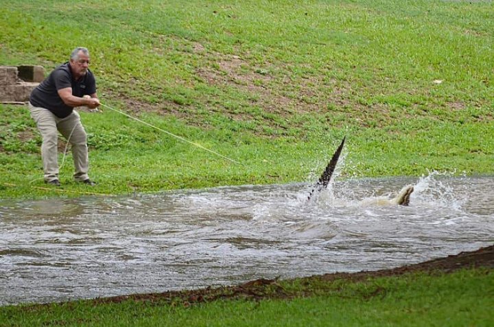 Inundaţii puternice în Australia. Puhoaiele au adus crocodili în orașe, au inundat aeroporturi și drumuri. Peste 200 de oameni, evacuaţi (FOTO)