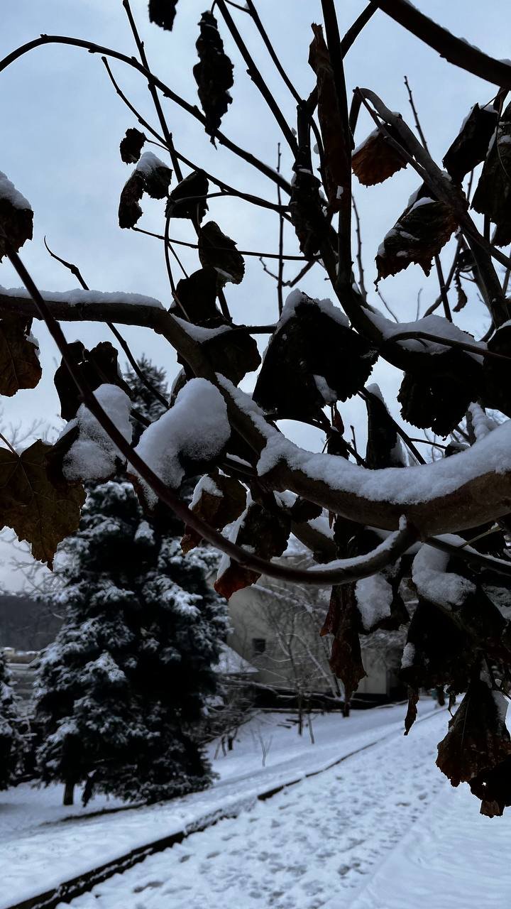 Parcul Valea Morilor, îmbrăcat în mantia albă a zăpezii. Pictură iernatică după ninsoare (FOTO/VIDEO)