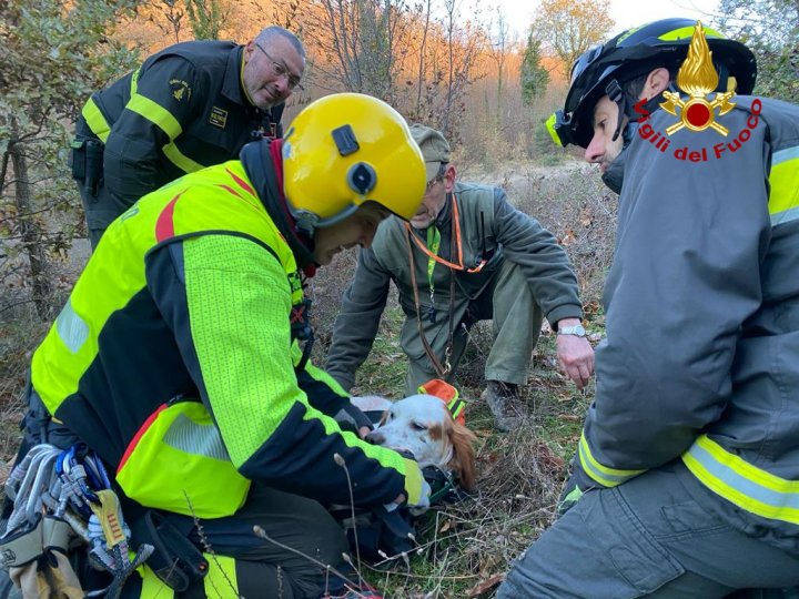 Momentul în care un câine este salvat cu elicopterul, după ce a căzut 100 de metri în gol de pe o stâncă, în Italia (VIDEO)