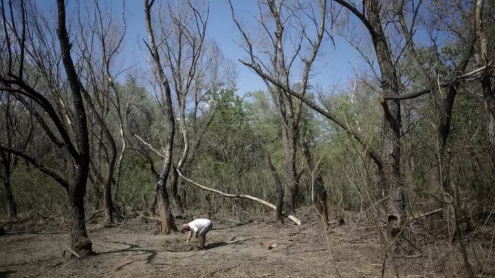 O dronă rusească a căzut azi-noapte în județul Tulcea, România. MApN: A fost identificat un crater de 1,5 m adâncime