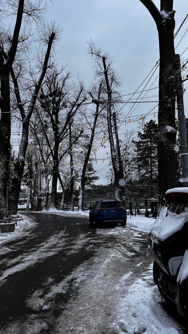 Parcul Valea Morilor, îmbrăcat în mantia albă a zăpezii. Pictură iernatică după ninsoare (FOTO/VIDEO)