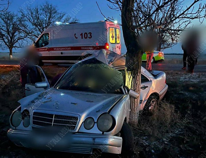 ACCIDENT FATAL. Un bărbat a murit, după ce s-a izbit cu mașina într-un copac. Pasagera a fost transportată la spital (VIDEO)