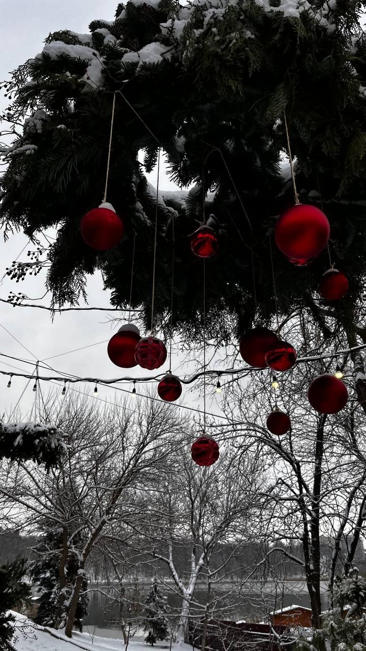 Parcul Valea Morilor, îmbrăcat în mantia albă a zăpezii. Pictură iernatică după ninsoare (FOTO/VIDEO)