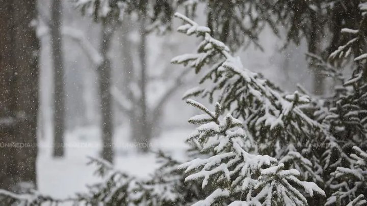 Prognoza meteo pentru ziua de 10 decembrie. Ce temperaturi indică termometrele