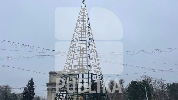 MAGIA sărbătorilor de iarnă. A început instalarea POMULUI de CRĂCIUN în PMAN (FOTO)